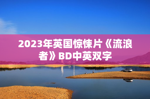 2023年英国惊悚片《流浪者》BD中英双字