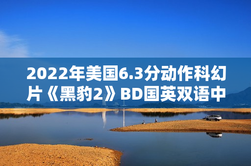 2022年美国6.3分动作科幻片《黑豹2》BD国英双语中英双字