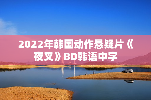 2022年韩国动作悬疑片《夜叉》BD韩语中字
