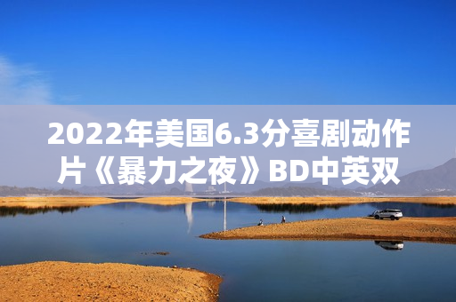 2022年美国6.3分喜剧动作片《暴力之夜》BD中英双字