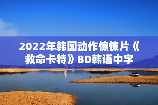 2022年韩国动作惊悚片《救命卡特》BD韩语中字