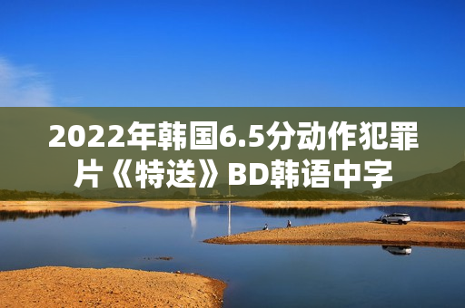 2022年韩国6.5分动作犯罪片《特送》BD韩语中字