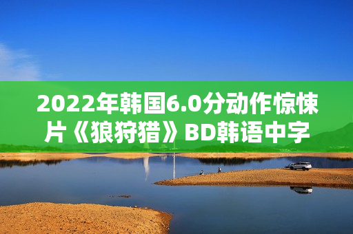 2022年韩国6.0分动作惊悚片《狼狩猎》BD韩语中字