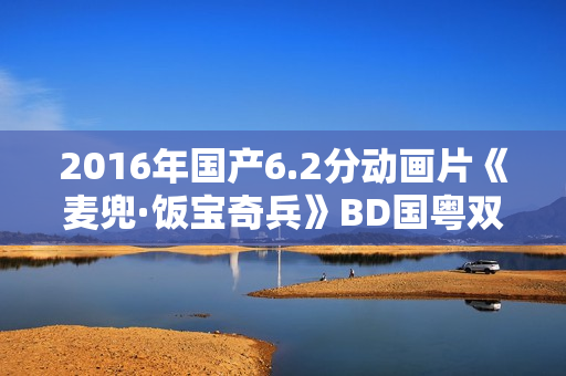 2016年国产6.2分动画片《麦兜·饭宝奇兵》BD国粤双语中字