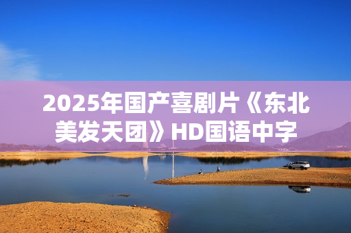 2025年国产喜剧片《东北美发天团》HD国语中字