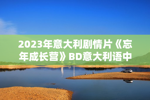 2023年意大利剧情片《忘年成长营》BD意大利语中字