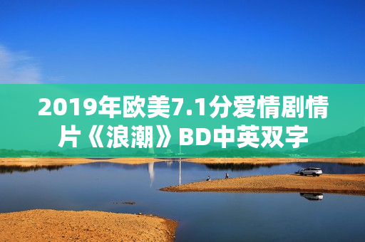 2019年欧美7.1分爱情剧情片《浪潮》BD中英双字