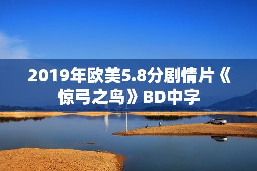 2019年欧美5.8分剧情片《惊弓之鸟》BD中字