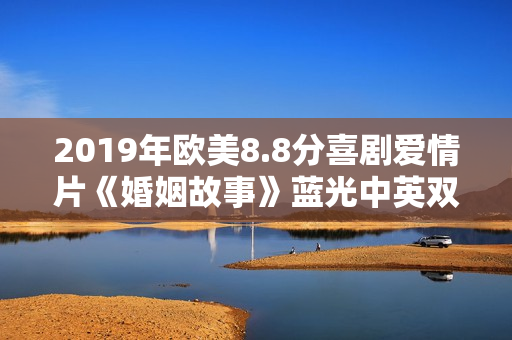 2019年欧美8.8分喜剧爱情片《婚姻故事》蓝光中英双字