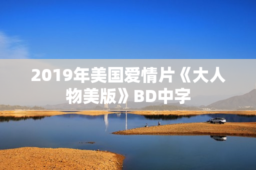 2019年美国爱情片《大人物美版》BD中字