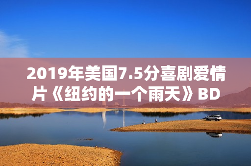2019年美国7.5分喜剧爱情片《纽约的一个雨天》BD中字
