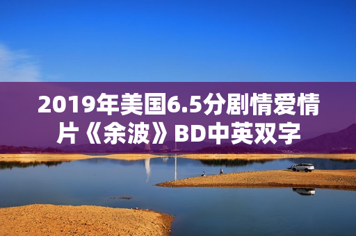 2019年美国6.5分剧情爱情片《余波》BD中英双字