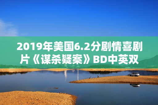 2019年美国6.2分剧情喜剧片《谋杀疑案》BD中英双字