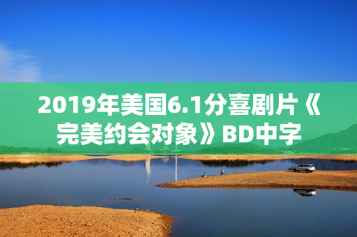 2019年美国6.1分喜剧片《完美约会对象》BD中字