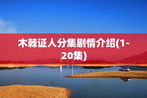 木棘证人分集剧情介绍(1-20集)