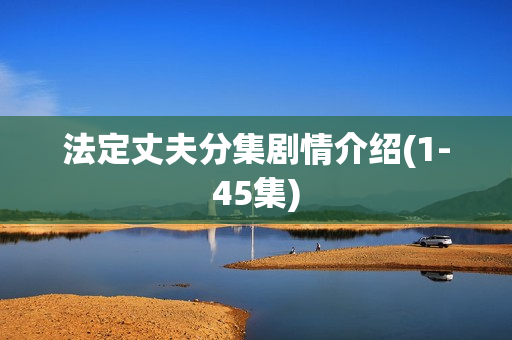 法定丈夫分集剧情介绍(1-45集) 法定丈夫分集剧情介绍(1-45集)