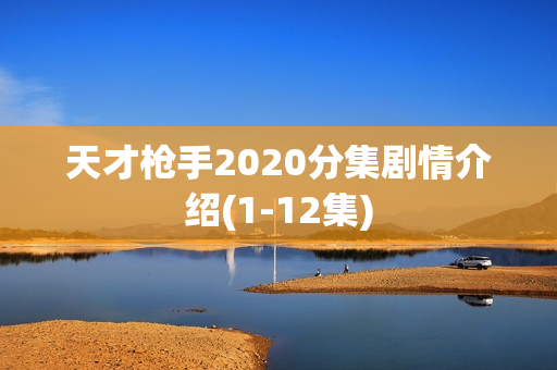 天才枪手2020分集剧情介绍(1-12集)