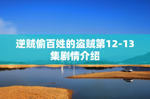 逆贼偷百姓的盗贼第12-13集剧情介绍