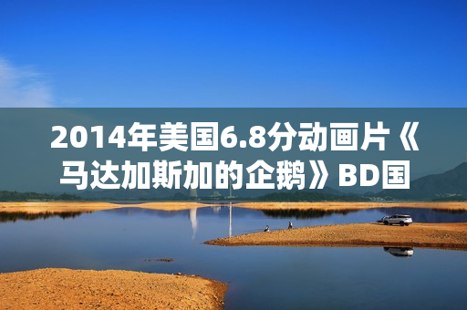 2014年美国6.8分动画片《马达加斯加的企鹅》BD国英双语双字
