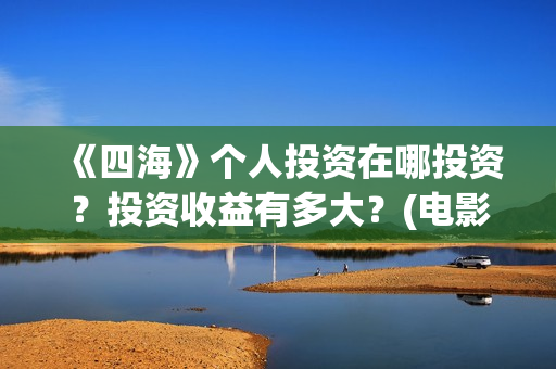 《四海》个人投资在哪投资？投资收益有多大？(电影《四海》)