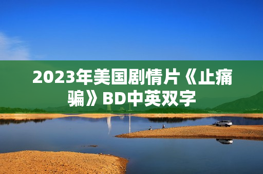 2023年美国剧情片《止痛骗》BD中英双字