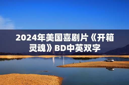 2024年美国喜剧片《开箱灵魂》BD中英双字