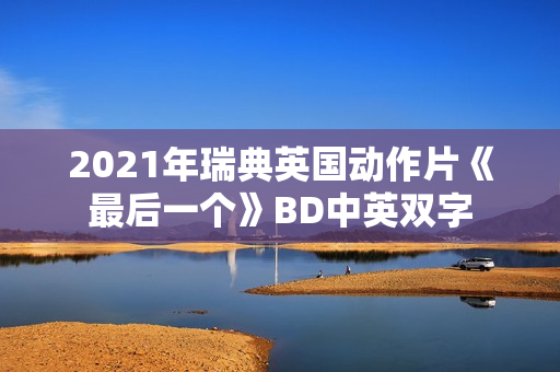 2021年瑞典英国动作片《最后一个》BD中英双字