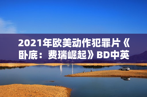 2021年欧美动作犯罪片《卧底：费瑞崛起》BD中英双字