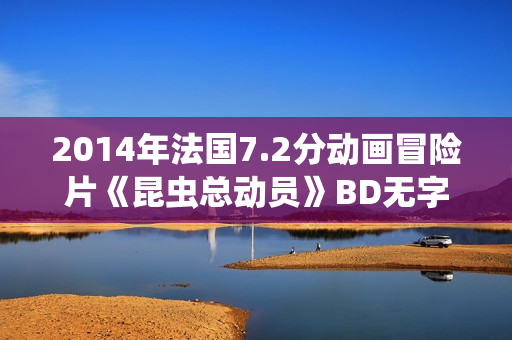 2014年法国7.2分动画冒险片《昆虫总动员》BD无字