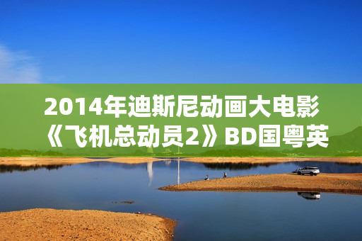 2014年迪斯尼动画大电影《飞机总动员2》BD国粤英3语双字