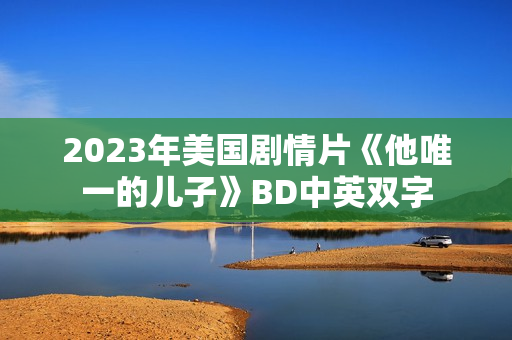 2023年美国剧情片《他唯一的儿子》BD中英双字