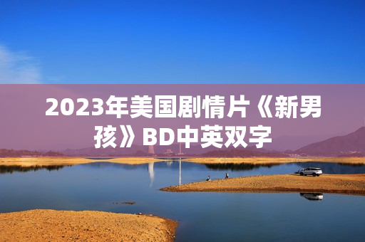 2023年美国剧情片《新男孩》BD中英双字