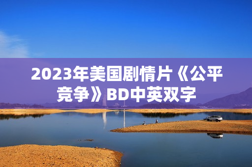 2023年美国剧情片《公平竞争》BD中英双字