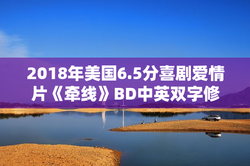 2018年美国6.5分喜剧爱情片《牵线》BD中英双字修复