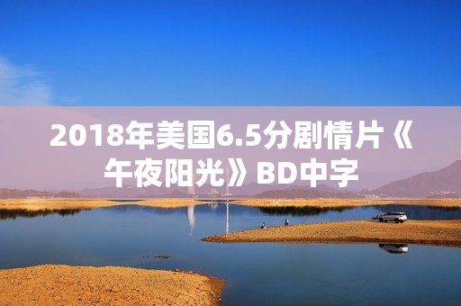 2018年美国6.5分剧情片《午夜阳光》BD中字