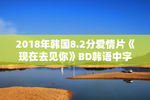 2018年韩国8.2分爱情片《现在去见你》BD韩语中字