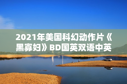 2021年美国科幻动作片《黑寡妇》BD国英双语中英双字