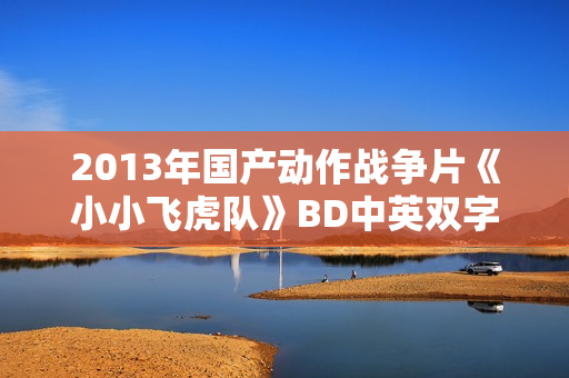 2013年国产动作战争片《小小飞虎队》BD中英双字