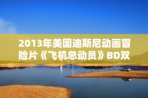 2013年美国迪斯尼动画冒险片《飞机总动员》BD双语双字