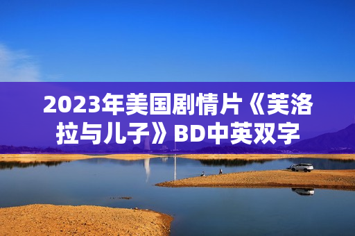 2023年美国剧情片《芙洛拉与儿子》BD中英双字