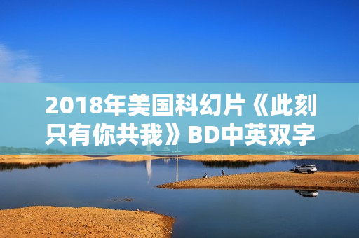 2018年美国科幻片《此刻只有你共我》BD中英双字