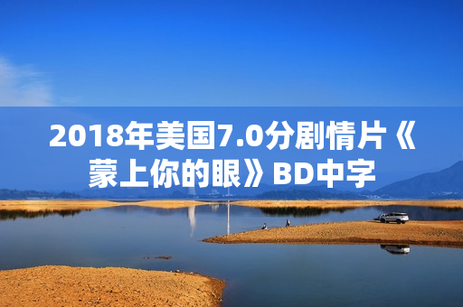 2018年美国7.0分剧情片《蒙上你的眼》BD中字