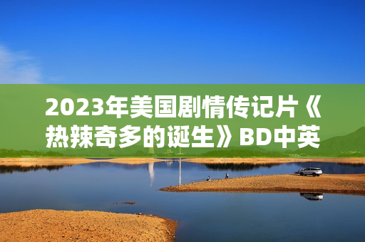 2023年美国剧情传记片《热辣奇多的诞生》BD中英双字