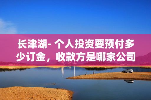 长津湖- 个人投资要预付多少订金，收款方是哪家公司？(长津湖详情)