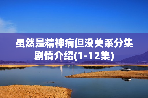 虽然是精神病但没关系分集剧情介绍(1-12集)