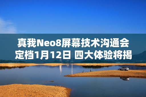 真我Neo8屏幕技术沟通会定档1月12日 四大体验将揭晓