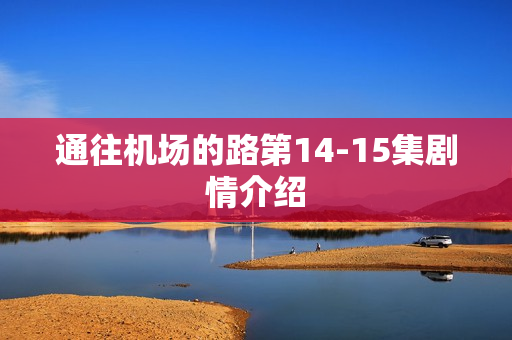 通往机场的路第14-15集剧情介绍