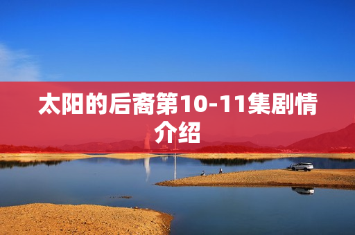 太阳的后裔第10-11集剧情介绍