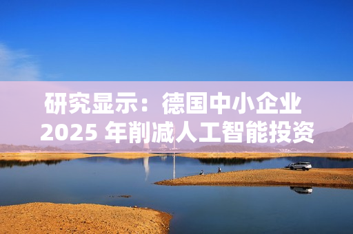 研究显示:德国中小企业 2025 年削减人工智能投资 研究显示:德国中小企业 2025 年削减人工智能投资