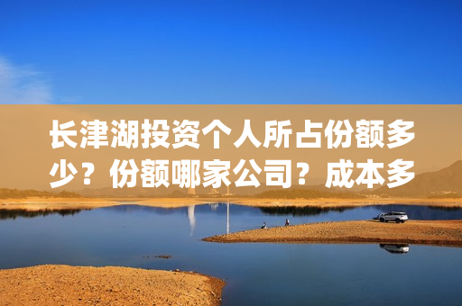 长津湖投资个人所占份额多少？份额哪家公司？成本多少？(长津湖的投资)